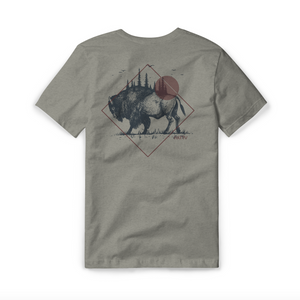 bison ~ stone grey