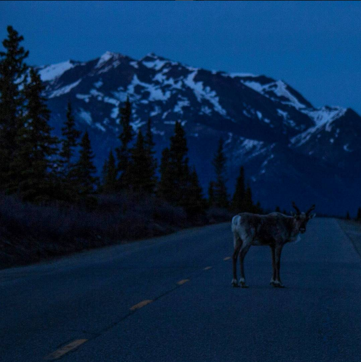 get to know jeremy tryon, nativ featured photographer