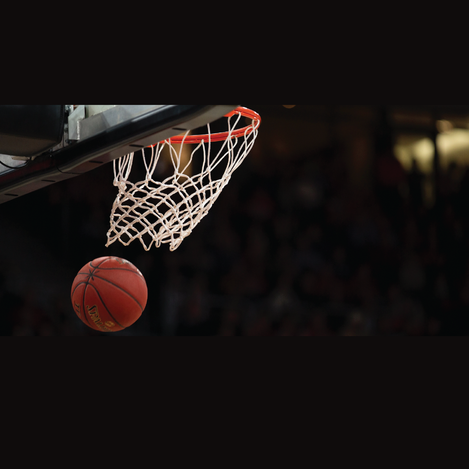 Arkansas Nativ Gameday Collection