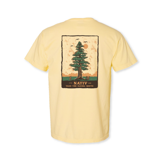 pine ~ spring yellow
