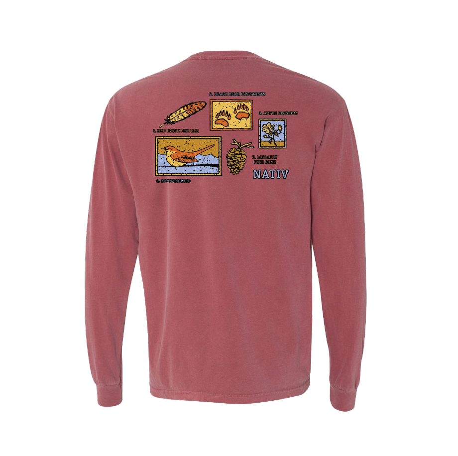 ARKANSAS ELEMENTS ~ BRICK