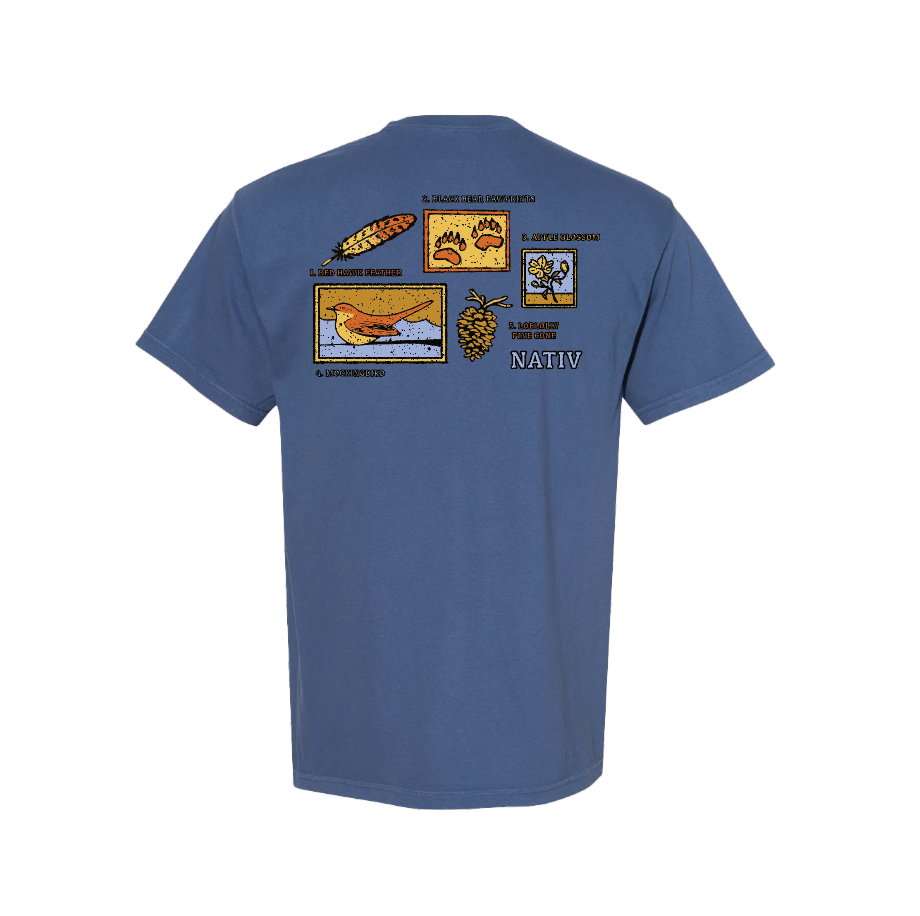 ARKANSAS ELEMENTS  ~ DELTA BLUE